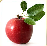 Apples Apples