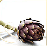 Artichokes Artichokes