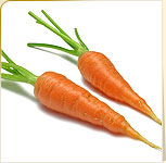 Carrots Carrots