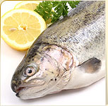 Fish Fish