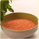 Lentils Lentils