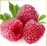 Raspberries Raspberries